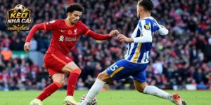 Soi kèo Liverpool vs Brighton